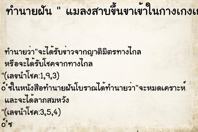 ทำนายฝัน  แมลงสาบขึ้นขาเข้าในกางเกงเยอะมาก